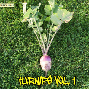 Screen shot 2013-06-25 at 10.03.29 PM