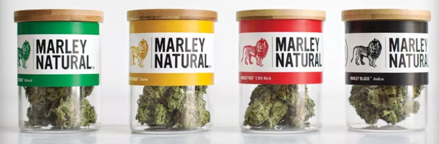 Screen Shot 2016-02-07 at 6.21.04 PM