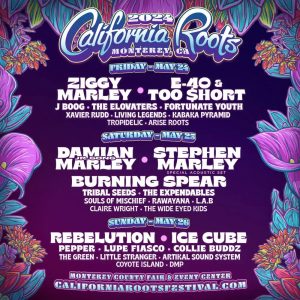 California Roots Music and Arts Festival 2024
