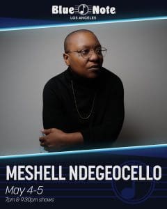 Meshell Ndegeocello