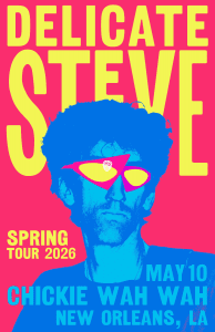 Delicate Steve