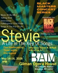 Stevie: A Life in the Key of Songs